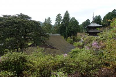 想像以上に素晴らしく感動の連続、湖南三山巡り
