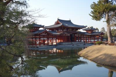 京都訪問2018①（醍醐寺、萬福寺、宇治平等院）