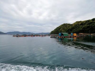 天草のタイ養殖場だらけの狭い水路を行く!!棚底港!横島!池の浦!大道漁港!熊本・天草 島巡り 2019年4月 3泊4日1人旅(個人旅行)５８