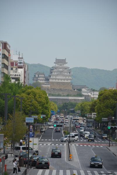 ＧＷ遠出せず少しだけ足伸ばして　姫路城