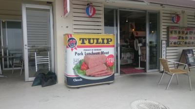 平成最後の沖縄 1