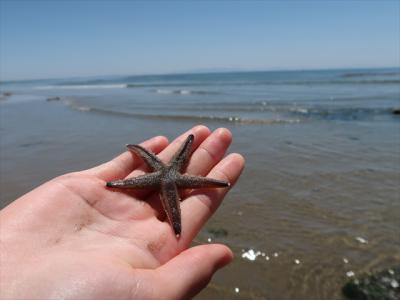 快晴の小野浦海岸 海&バーベキュー&夕陽