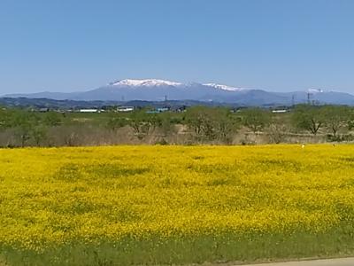 阿武隈急行で角田へGo！