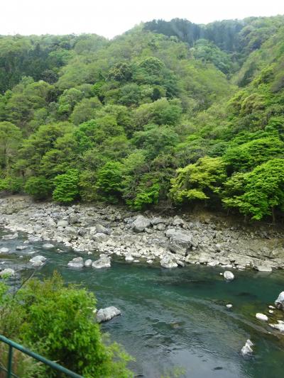 2019年GW　大阪帰省～平成最後の母子３代旅　嵐山、嵯峨野 共立リゾート花伝抄～野宮神社～竹林～嵐山トロッコ列車　後編