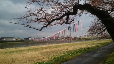 東北観光フリーパスで日帰り東北3県縦断決行!