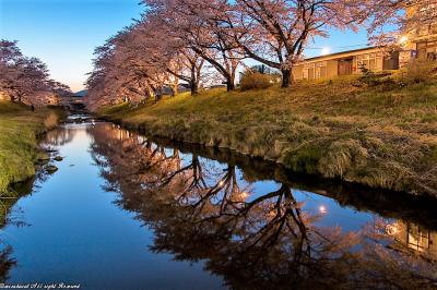 2019-交通機関で行く福島の桜めぐり