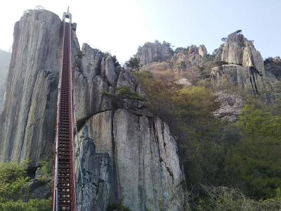 186回目訪韓GW6泊7日旅(宝鏡寺、鬱陵島、釜山の三光寺、大屯山)No.17/18_大屯山