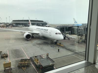 JAL736便機材トラブルで欠航