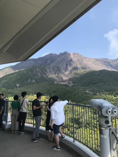 フェリーとバスで桜島を満喫