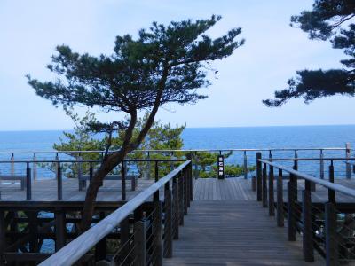 リアスの恵み 大船渡(平成最後の東北旅④)