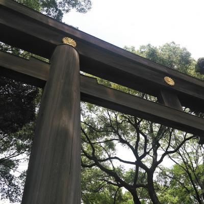 えっ?この歳で初ですか?の明治神宮へ