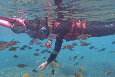 屏東小琉球・六宝温泉を行く ３泊４日の旅-その１