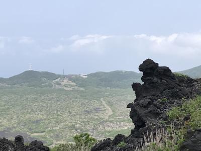 2019 GW 伊豆大島の旅 2日目