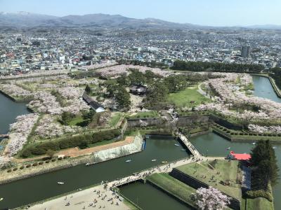 黄金週　桜満開　五稜郭！　函館山は　人の海