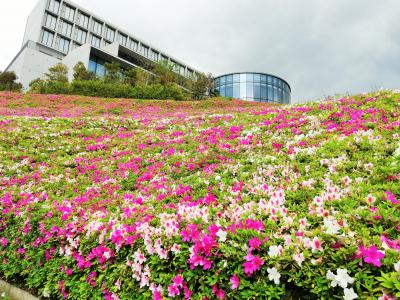 葉山　湘南国際村から子安の里へ