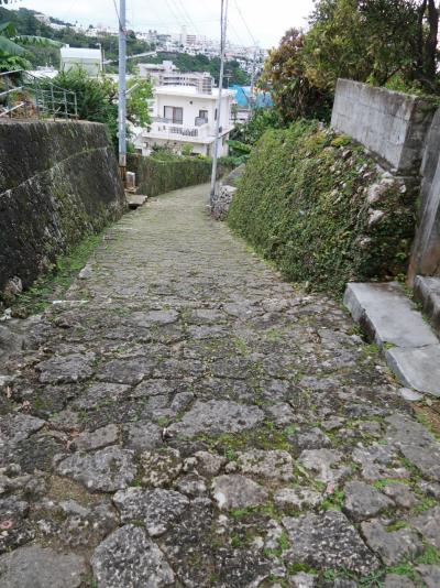 沖縄41 首里金城町・石畳道を歩くa ☆238mの区間前半/大アカギ