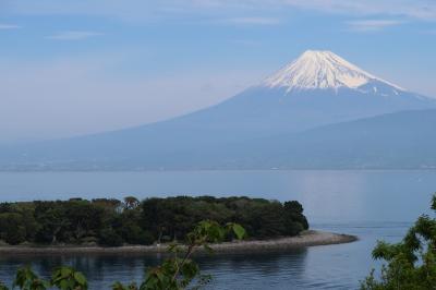 令和になり初の大瀬崎（静岡県沼津市）へ行ってきました・・・