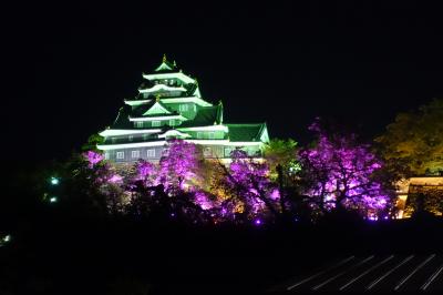 再発見！夜の後楽園と岡山城！岡山グルメ！