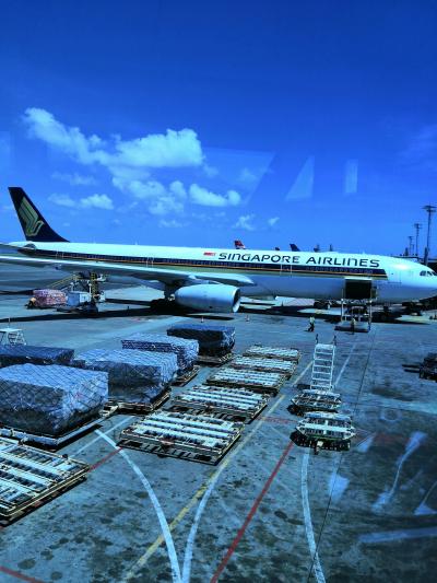 2019 GW SQ羽田深夜発でバリ島10日間 SIN最短50分乗継