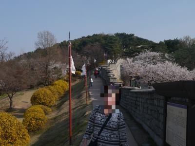 今年もANAソウル発券を継続。世界遺産の水原華城にも行って来た。