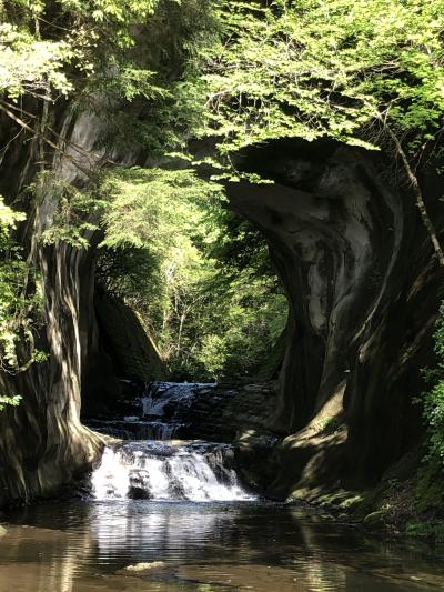 富津公園、濃溝の滝、小湊、千倉そしてアウトレットに娘の家族と一泊旅行