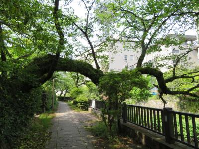 伊豆の旅（3日目）