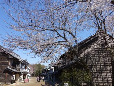 房総のむらでお花見タイムスリップ