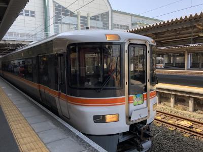 2019 GW  もどき鉄子がいく Part1  飯田線の車掌さんは大忙し編