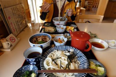 ０１．三島文教町の銀杏並木　讃岐うどん福梅の昼食　竹沢園芸種苗　