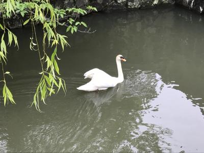 牛窓から倉敷美観地区と大原美術館