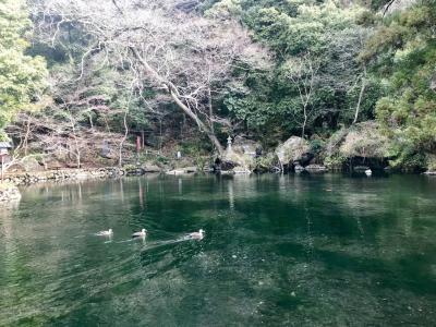 2018年3月 「スカイベリー」狩り食べ放題と神秘の湧水パワースポット