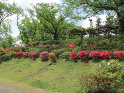 東青梅、塩船観音ハイキング（１）大塚山へ。