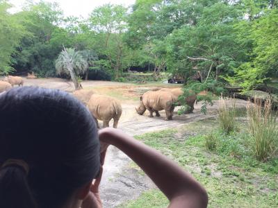 はじめてのオーランド WDW家族旅行 4日目(Animal Kingdom、ホテルトラブル、ソフトバンクアメリカ放題発動)