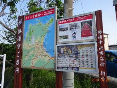 【2018年 房総半島旅行】勝浦朝市から房総半島一周へ