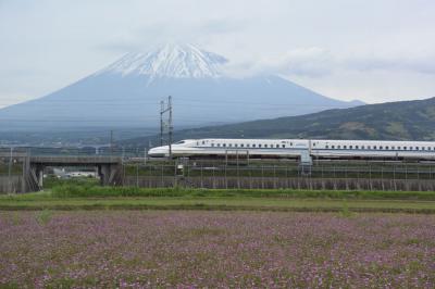 自転車でGO! 2019.05.09 =GWが終わった市内をウロウロ…=