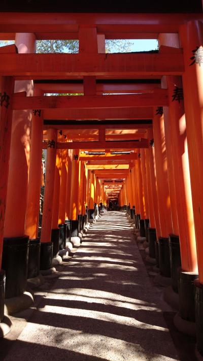 *朱色×青空×こもれびが素敵な京都一人たび☆ **伏見稲荷大社**