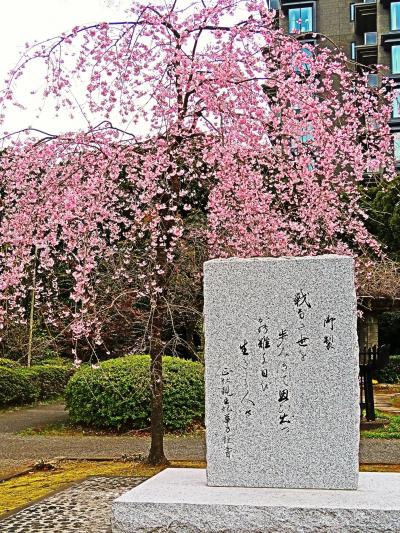 都内桜名所-6　千鳥ケ淵戦没者墓苑　☆御製の碑・しだれ桜とともに