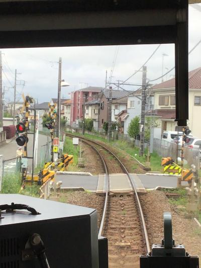 初夏を感じて関東鉄旅          相模大回り編  その2