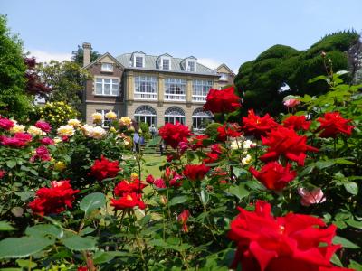 2019春の鳩山会館でバラを愛でる