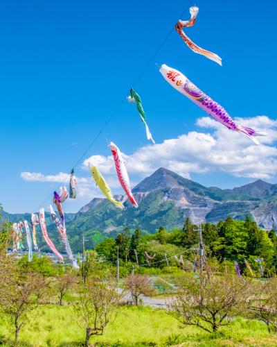 新緑の尾ノ内渓谷と鯉のぼりの里