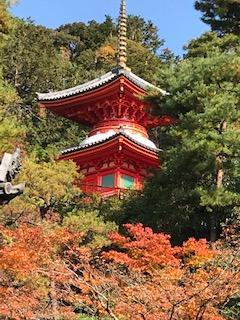 秋のしっとり京都　泉涌寺から今熊野観音寺へ