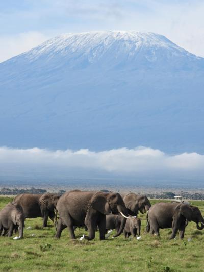 ケニア・タンザニアでサファリ（ケニア３日目・タンザニア１日目）アンボセリ国立公園⇒国境⇒カラトゥ