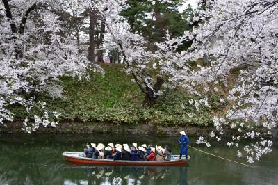 弘前さくらまつりへ 【東北遠征1日目】