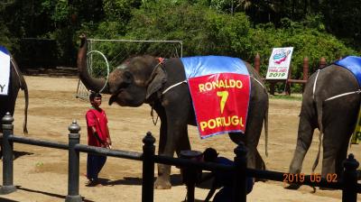 タイは大渋タイ。