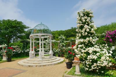 京成バラ園 優秀庭園賞に輝いた世界に誇れるバラ園