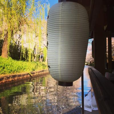 桜満開の十石船