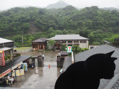 家族で台北、目的地は猴トン【1日目、板橋到着編】