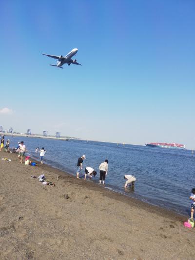 城南島海浜公園で潮干狩り＆オートキャンプ