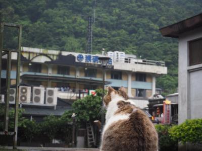 家族で台北、目的地は猴トン【2日目、猴トン編】