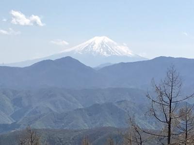 奥多摩探検隊、雲取山へ行く！《鹿肉と小池さん編》